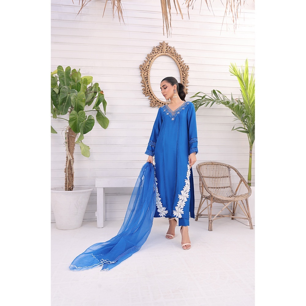 Pakistani Indian shalwar kameez